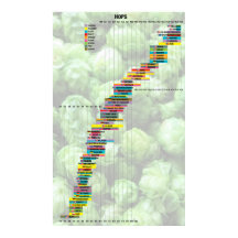Cerveza por números - Hops