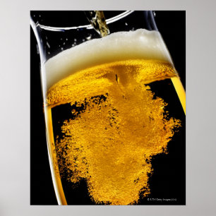 Póster Cerveza vertido en el vidrio, tiro del estudio