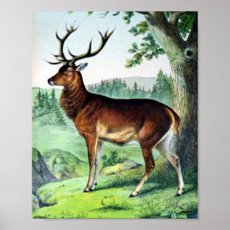Póster Cerveza y reno