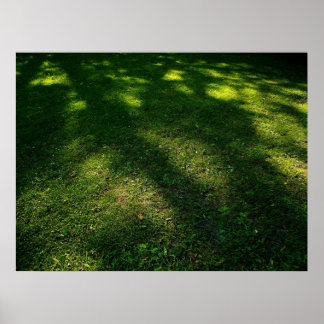 Póster Césped acoplado al sol