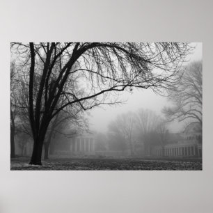 Póster Césped en la niebla