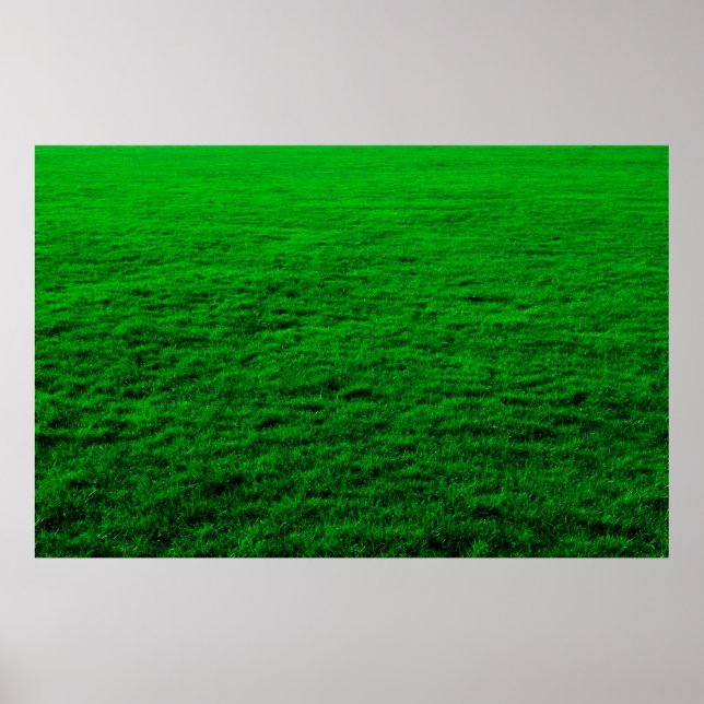 Póster césped verde de fondo (Frente)
