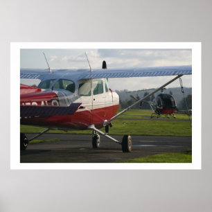 Póster Cessna 172 y Schweizer 300C