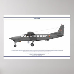 Póster Cessna 208 Líbano