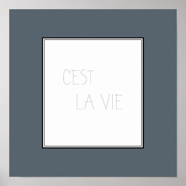 Póster C'est La Vie - Esa es la vida (Frente)