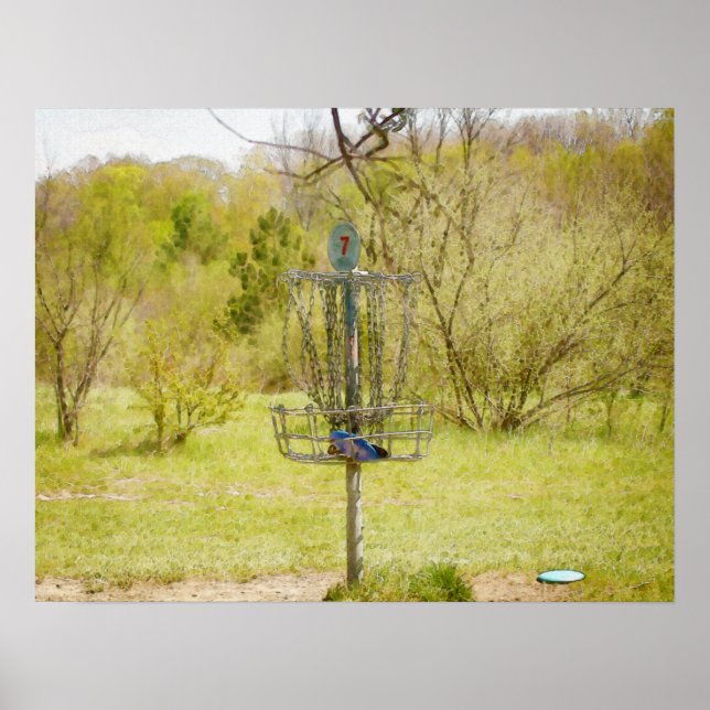 Póster Cesta de Golf de Disco 7 (Frente)