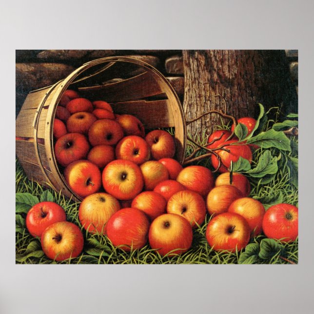 Póster Cesta de manzanas, pintura artística fina, (Frente)