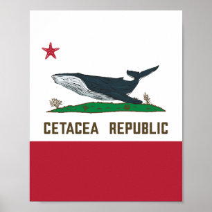 Póster Cetacea Republic Whale Flag Rorqual