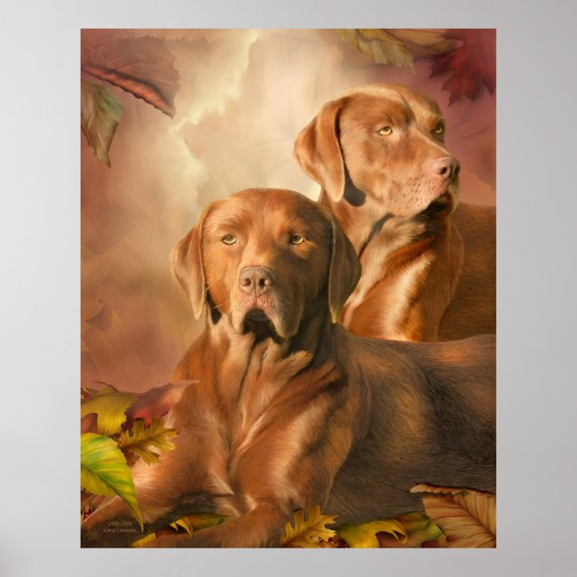 Póster Cha Cha - El Poster/Impresión de Chocolate Lab (Frente)