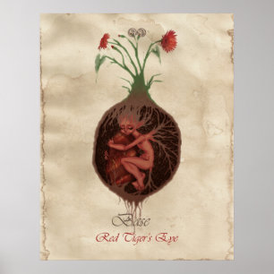 PÓSTER CHAKRA FAE - BASE