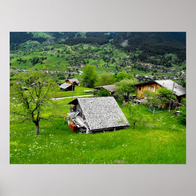 Póster Chalets en un valle alpino de Suiza (Frente)