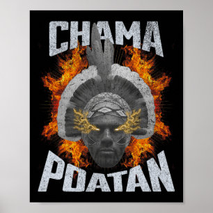 Póster Chama Paotan Mma Fan Jjb Boxing Muay Thai