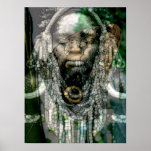 Póster Chamán Reptiliano 5