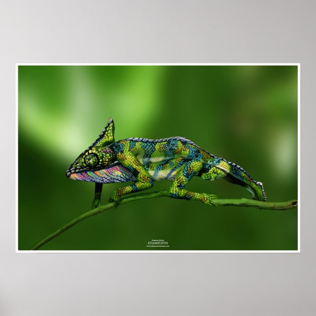 Póster Chameleon by Johannes Stötter (Frente)