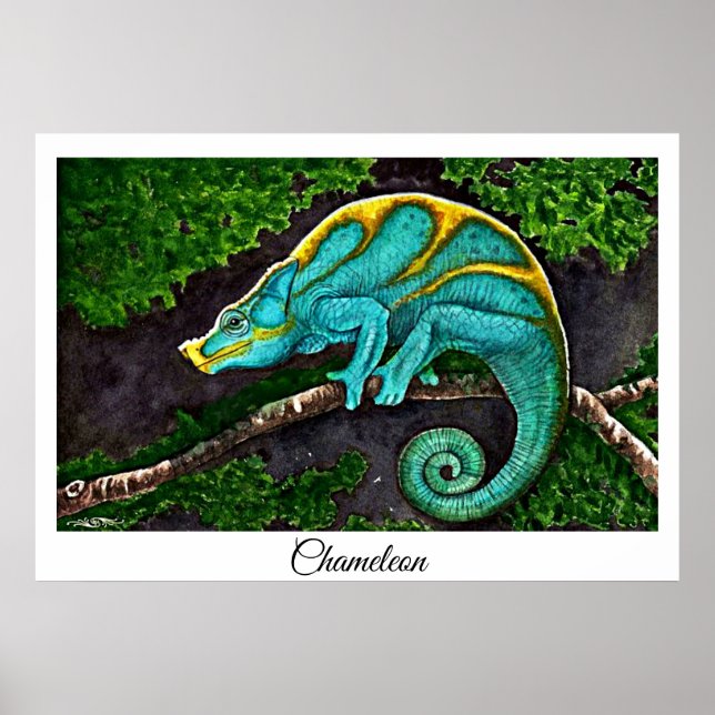 Póster Chameleon Life (Frente)