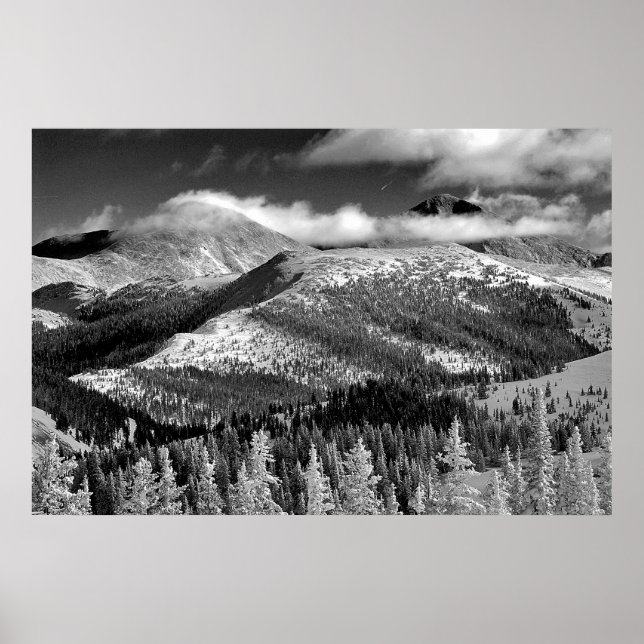 Póster Champagne Snowscape (Frente)