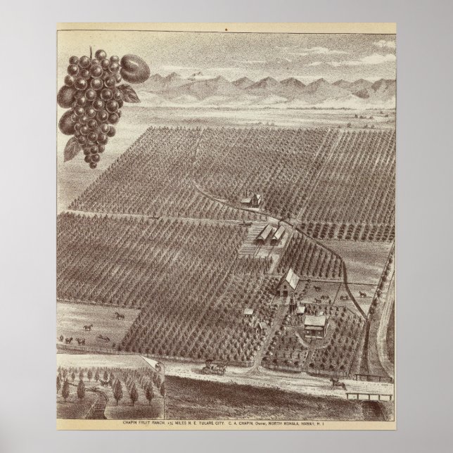 Póster Chapin Fruit Ranch (Frente)