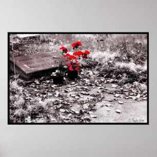 Póster Chapoteo rojo