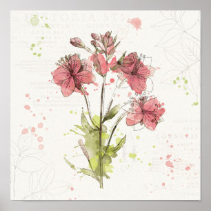 Póster Chapoteo rosado oscuro floral