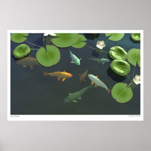 Póster Charca de Koi