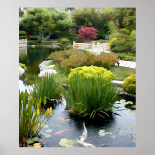Póster Charca japonesa del jardín con Koi