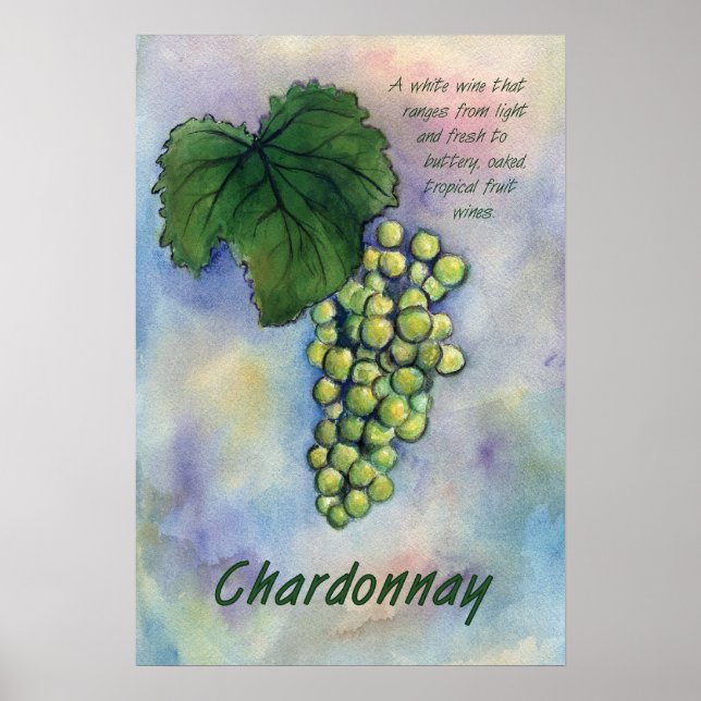 Póster Chardonnay White Wine Grapes Art Print (Frente)