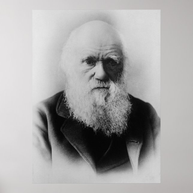 Póster Charles Darwin (Frente)
