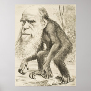 Póster Charles Darwin