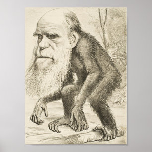 Póster Charles Darwin