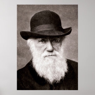 Póster Charles Darwin
