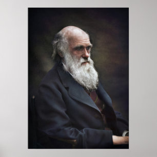 Póster Charles Darwin 1878 coloreado