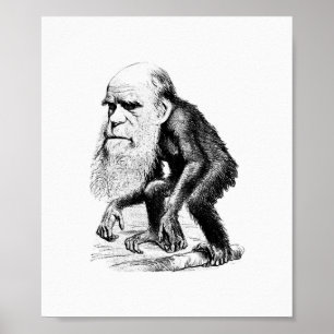 Póster Charles Darwin como un simio
