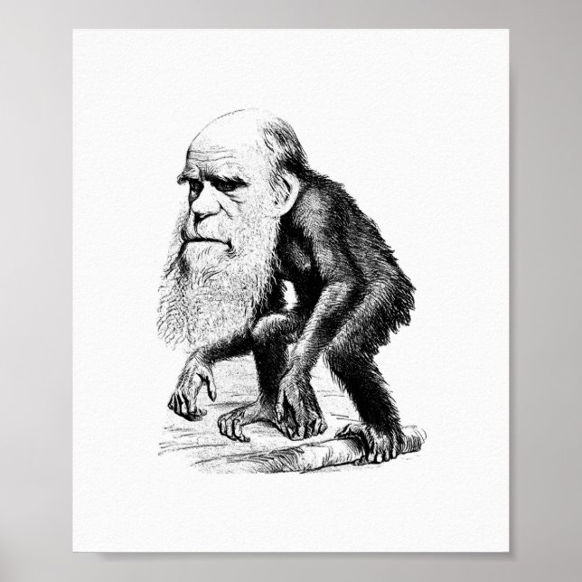 Póster Charles Darwin como un simio (Frente)