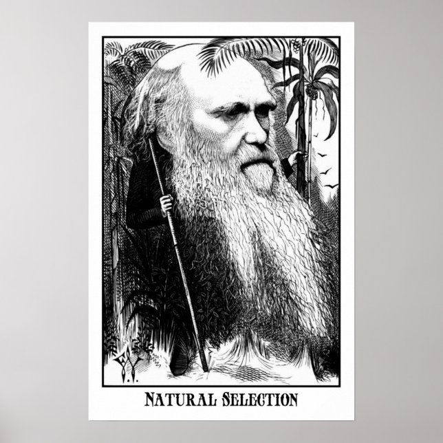 Póster Charles Darwin- Selección natural (Frente)