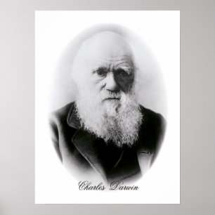 Póster Charles Darwin Vignette