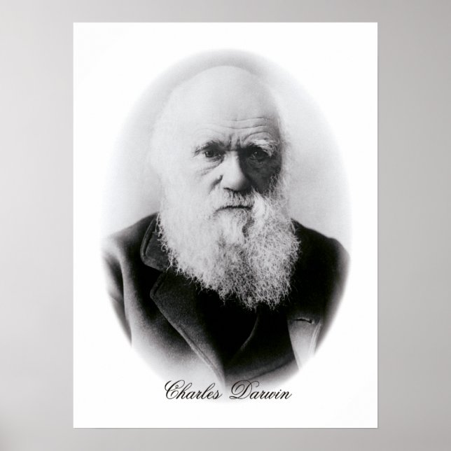 Póster Charles Darwin Vignette (Frente)