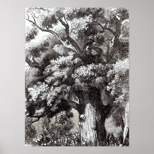 Póster Charles II  Hidden in the Oak Tree (Frente)