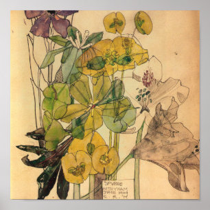 Póster Charles Rennie Mackintosh - Spurge With Yham 1909