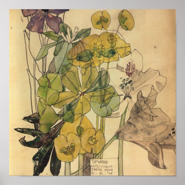 Póster Charles Rennie Mackintosh - Spurge With Yham 1909 (Frente)