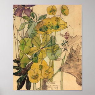 Póster Charles Rennie Mackintosh - Spurge With Yham 1909