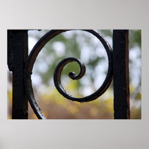 Póster Charleston Iron Gate Detail