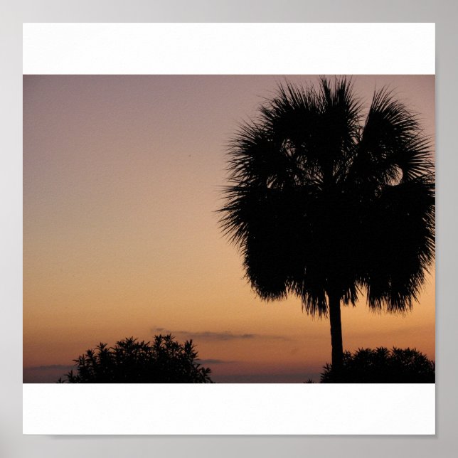 Póster Charleston Palm (Frente)