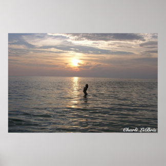 Póster Charli en la playa