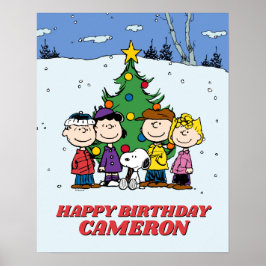 Póster Charlie Brown y los cumpleaños de invierno de los
