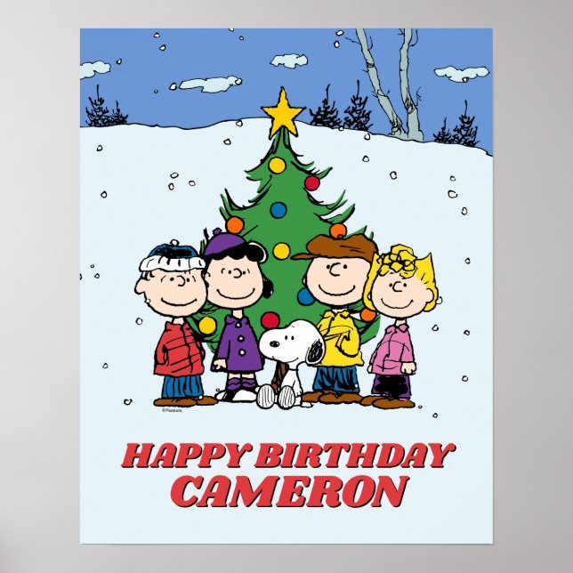 Póster Charlie Brown y los cumpleaños de invierno de los  (Frente)