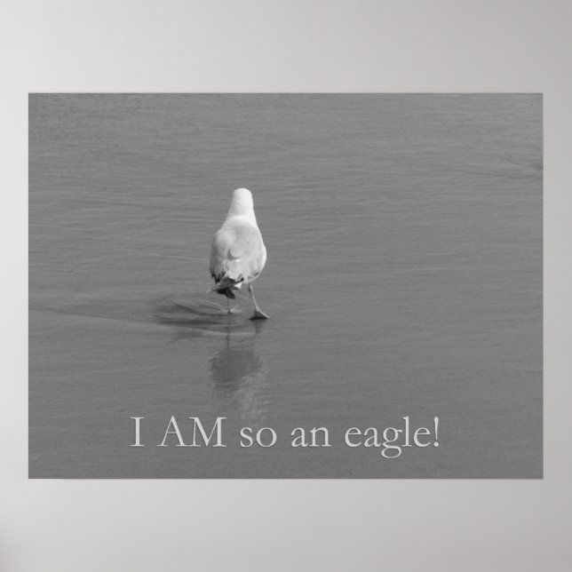 Póster Charlie la gaviota solitaria - ¡soy un águila! (Frente)