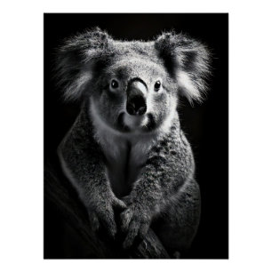 Póster Charming Black & White Koala Fine Art Print