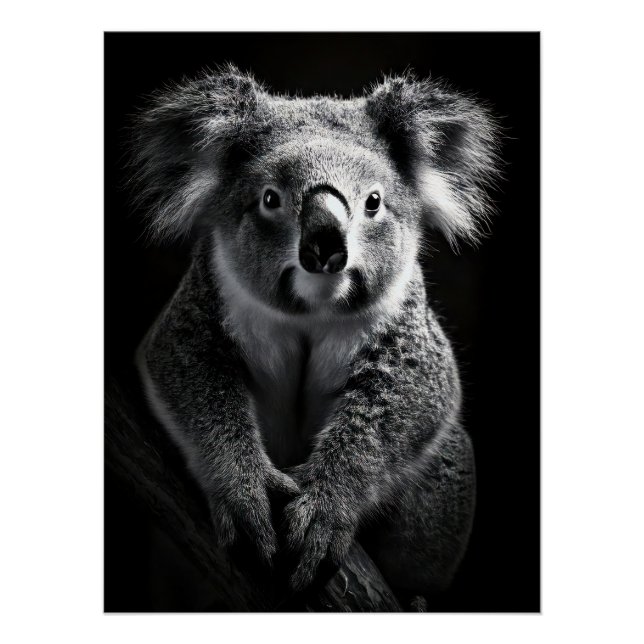 Póster Charming Black & White Koala Fine Art Print | (Anverso)