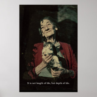 Póster Charming elderly lady holding a cat photo poster