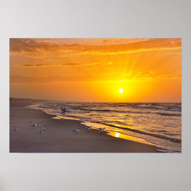 Póster Charrán Mínimo en la Playa, Money Bayou Beach, Flo (Frente)